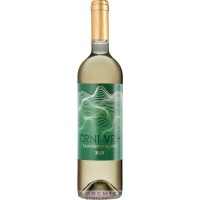 Cilić Crni Vrh Sauvignon Blanc 2025